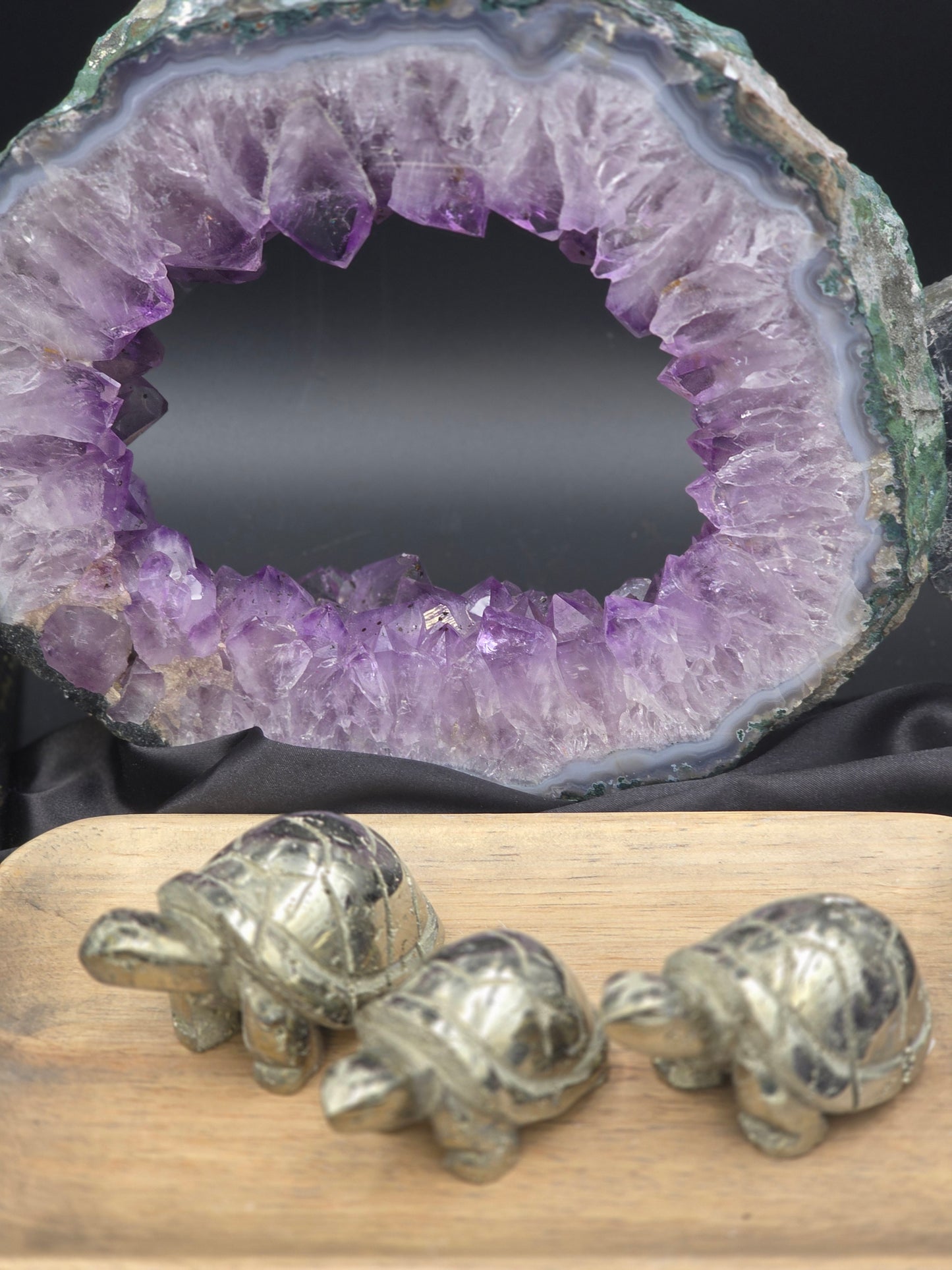 Pyrite Turtle