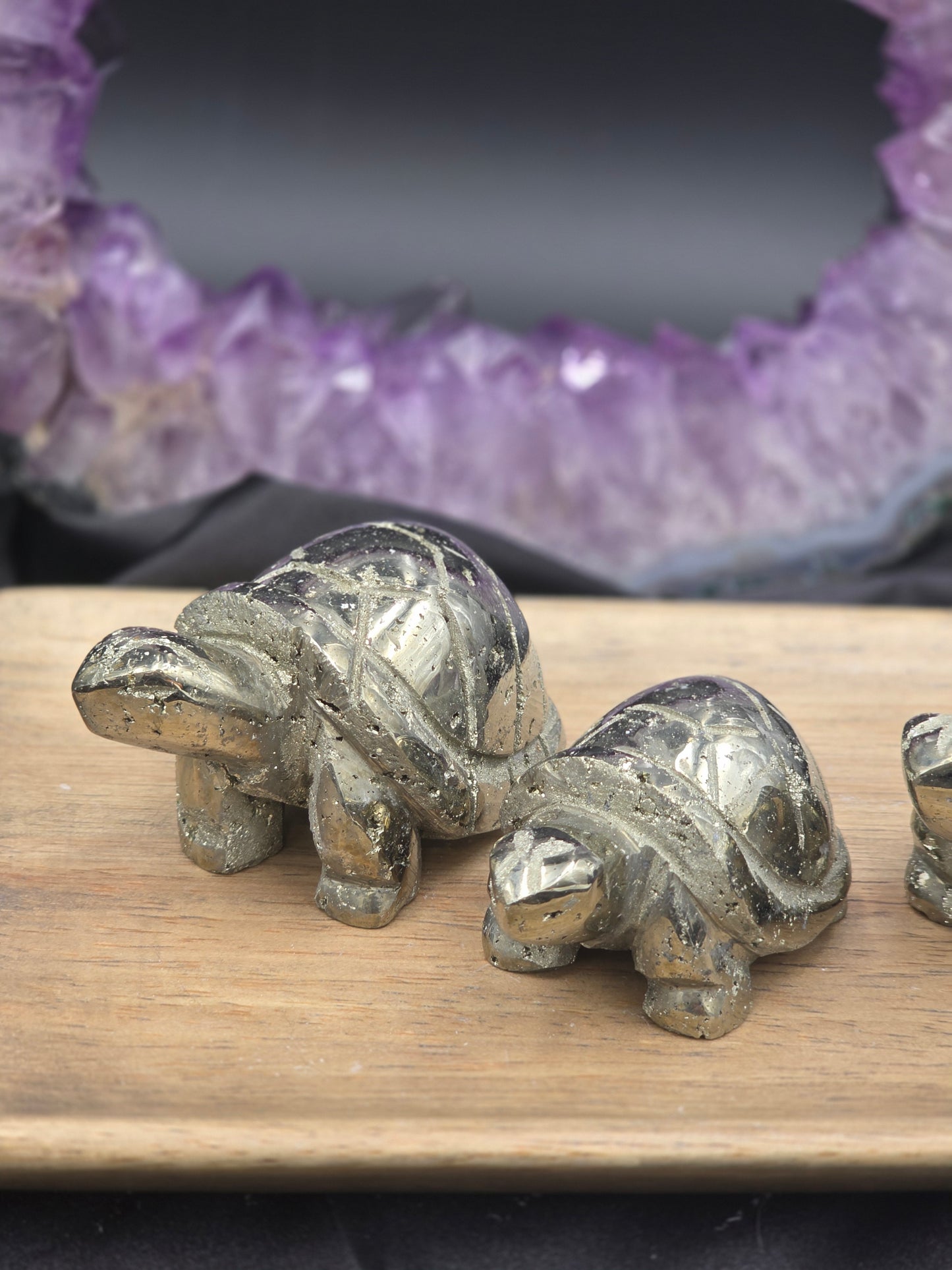 Pyrite Turtle