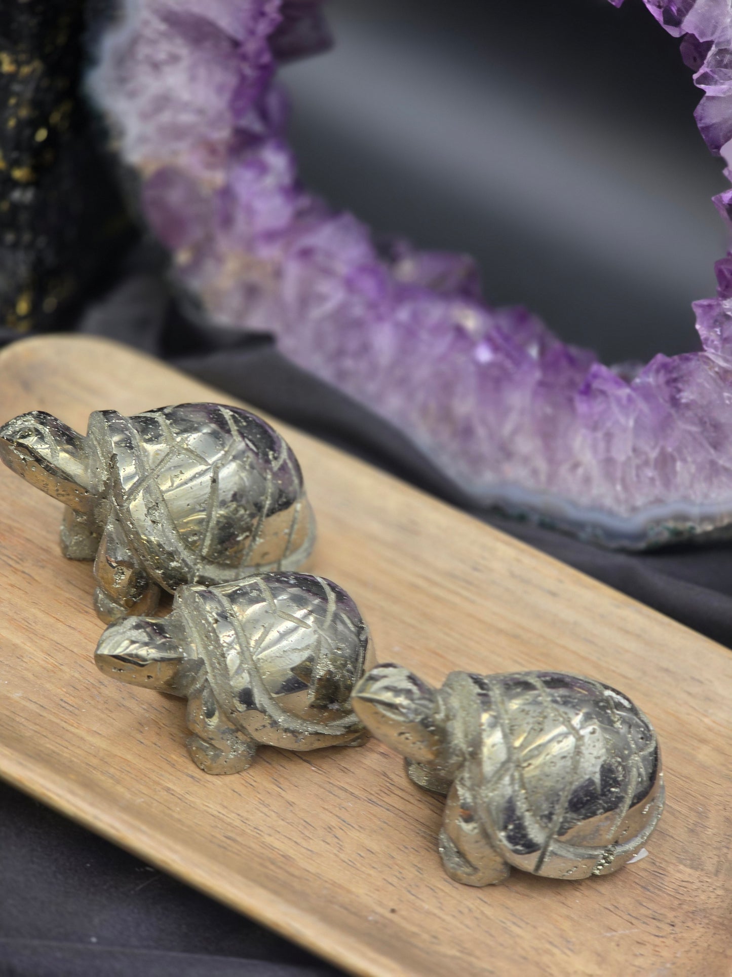 Pyrite Turtle