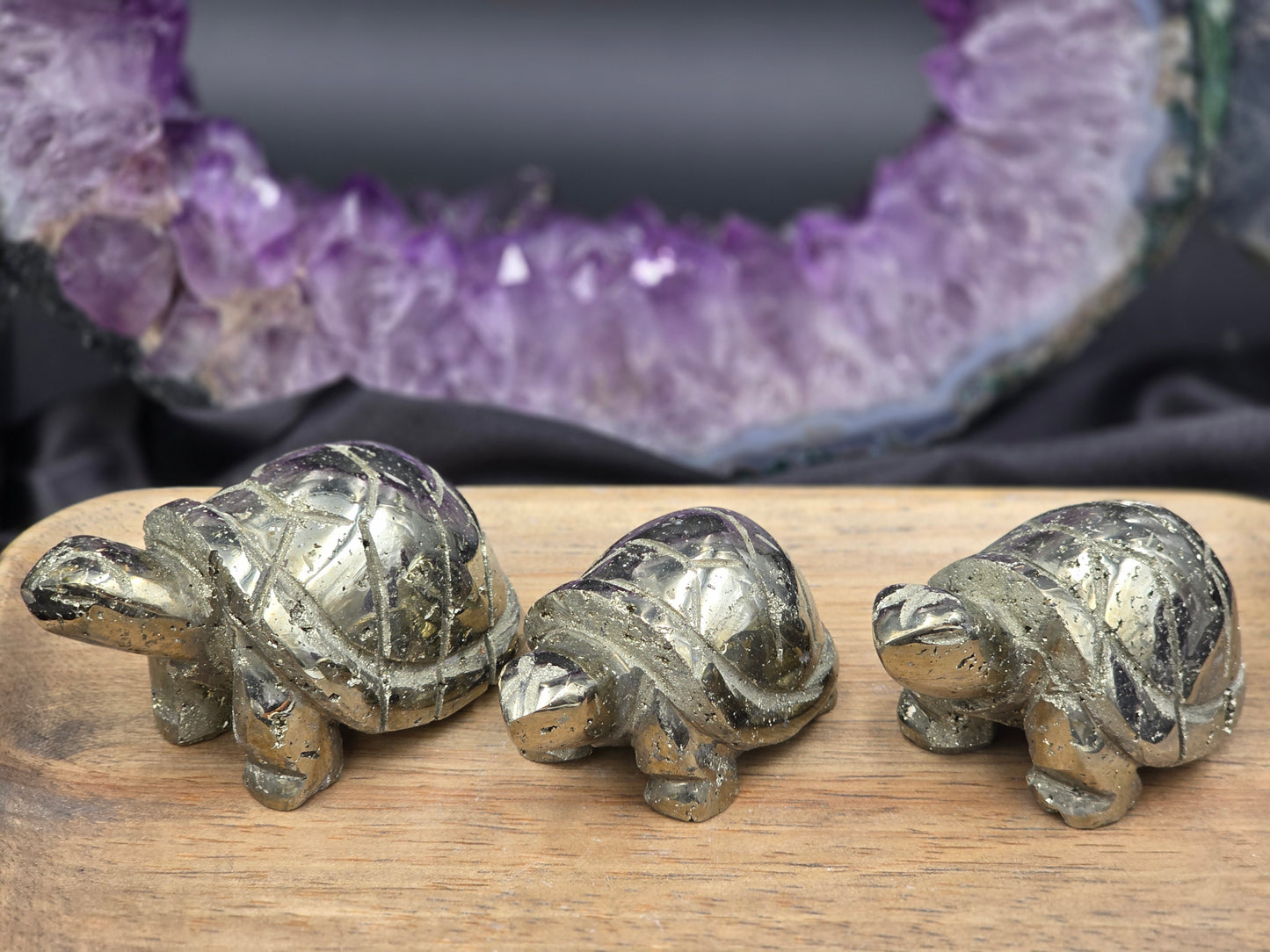 Pyrite Turtle