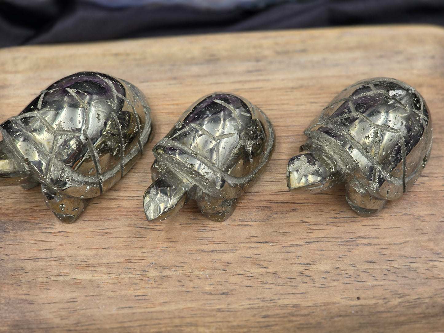 Pyrite Turtle