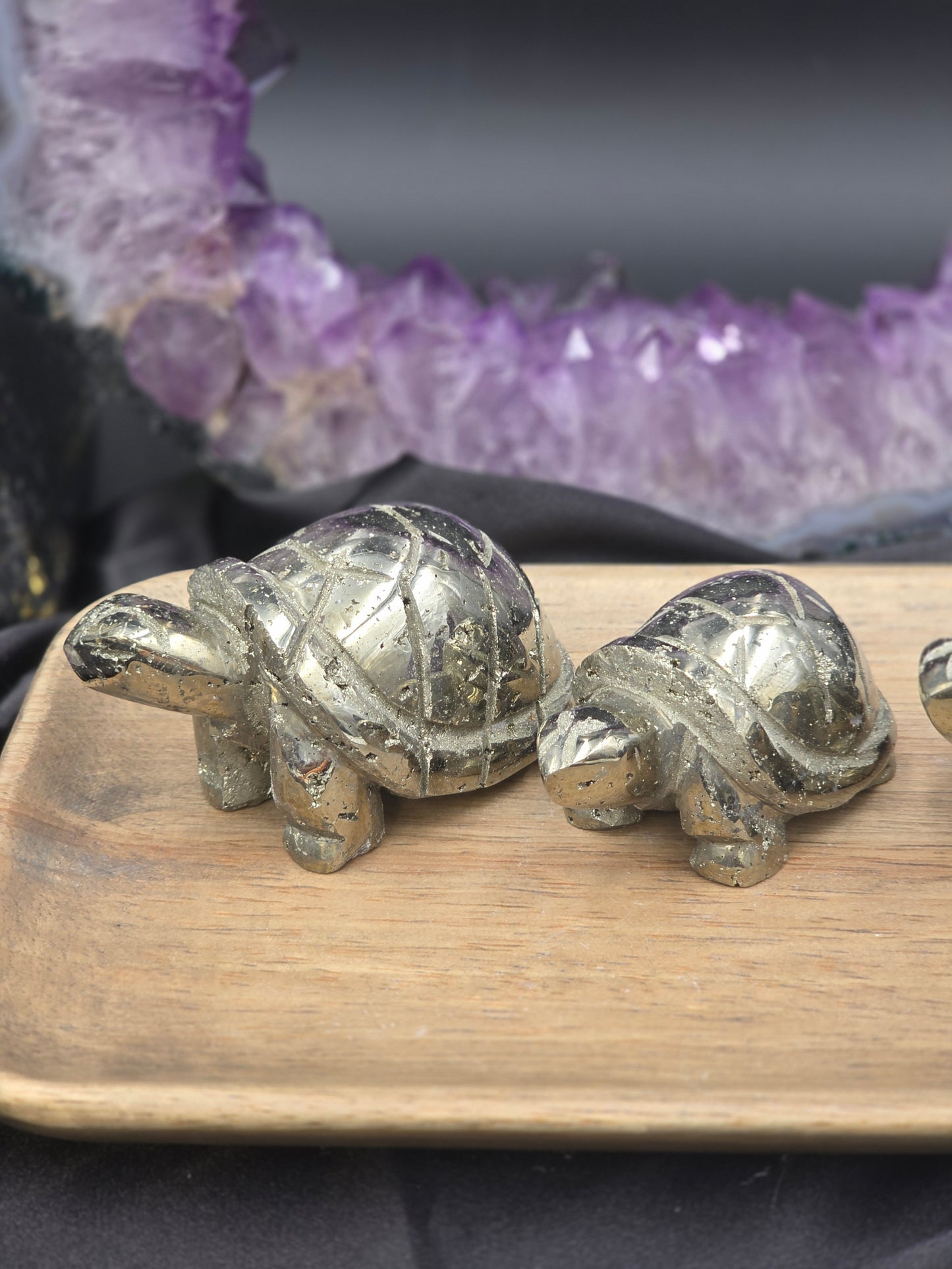 Pyrite Turtle