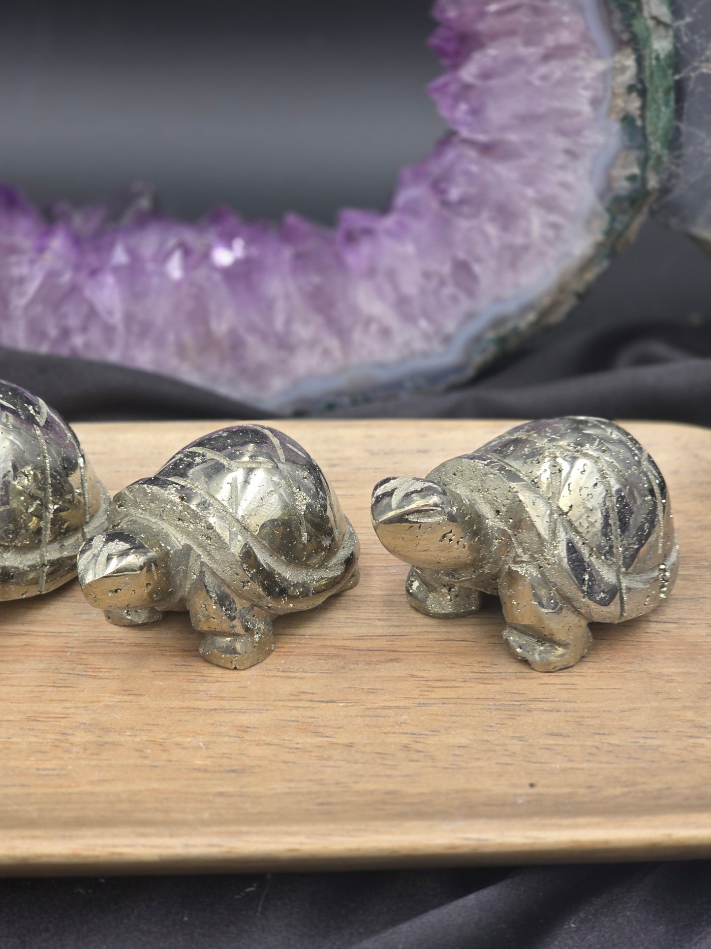 Pyrite Turtle
