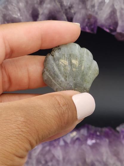 Labradorite Seashell Carving