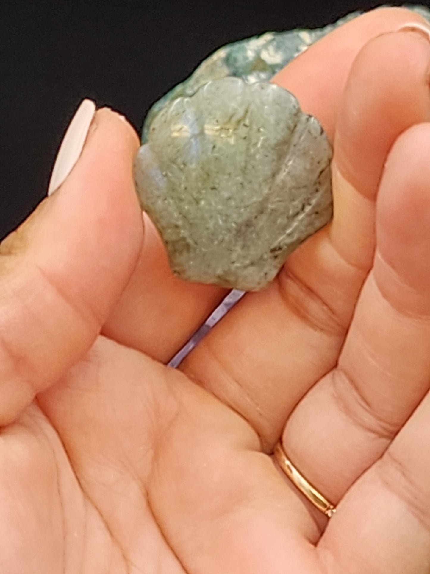 Labradorite Seashell Carving