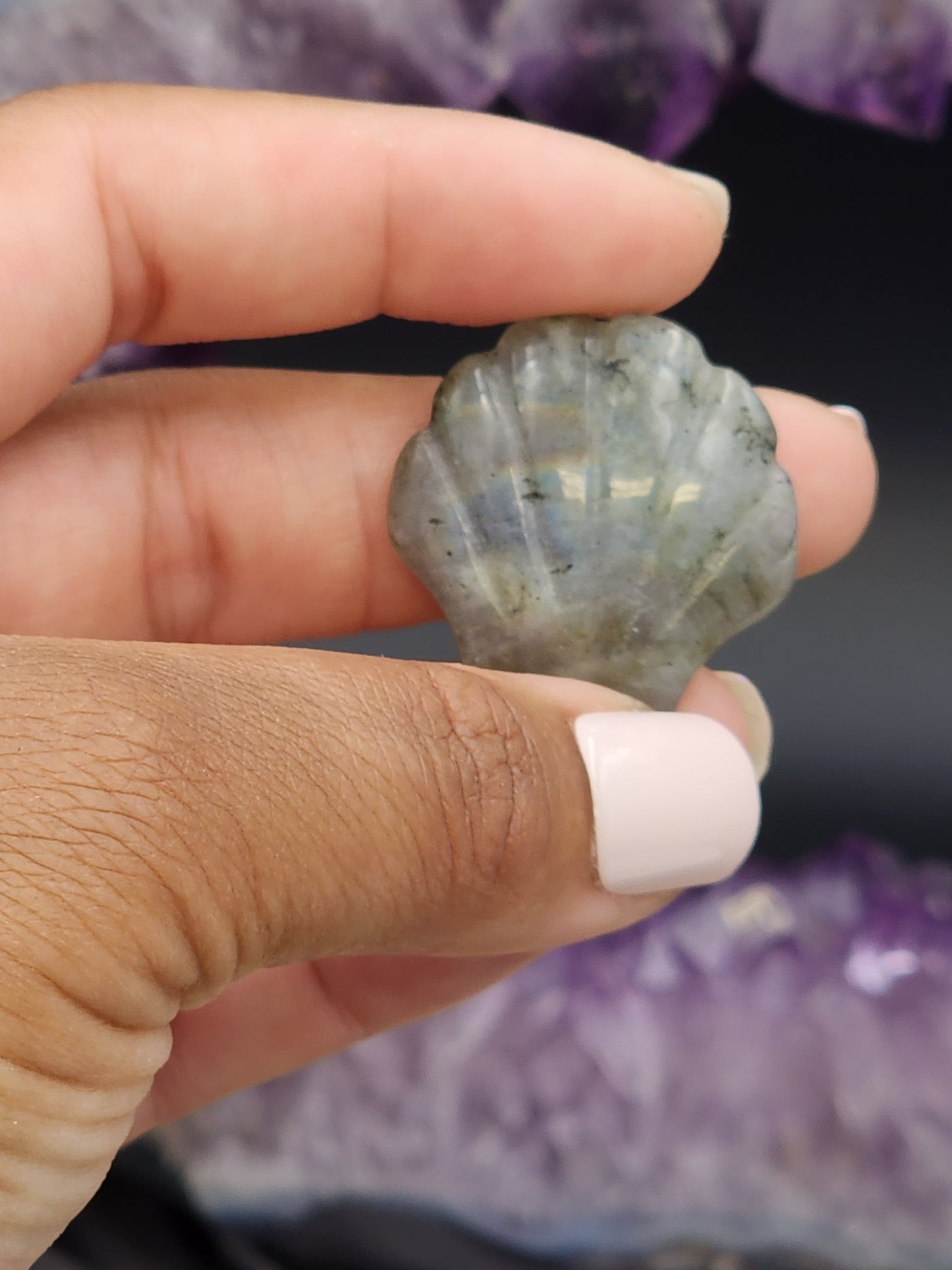 Labradorite Seashell Carving