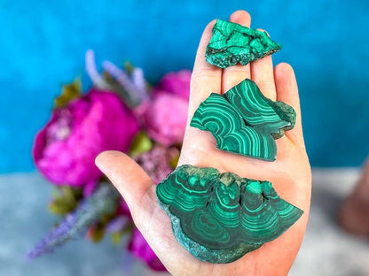 Polished Orbicular Malachite Slice