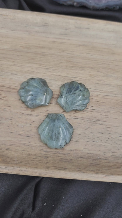 Labradorite Seashell Carving